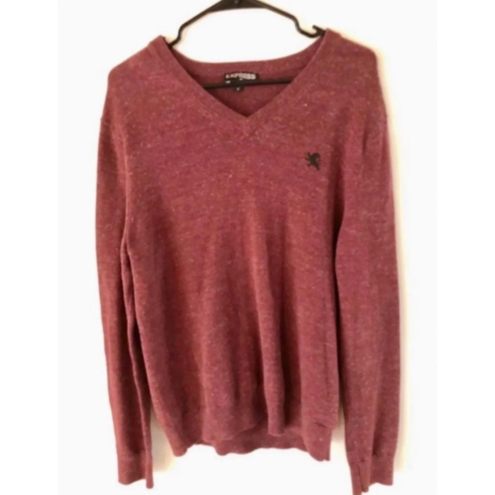 Express Maroon V-Neck Sweater